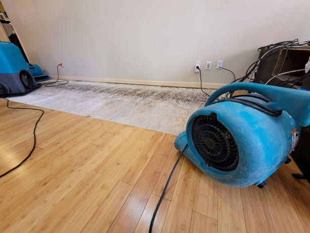 Professional Structural Drying technician working in Edgerton, KS